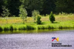 151730227 - zdjęcie nr 4