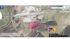 167130227 - zdjęcie nr 5