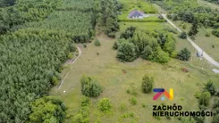 167460227 - zdjęcie nr 0