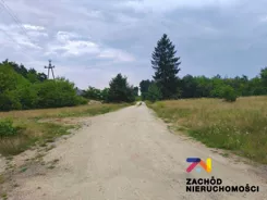 167460227 - zdjęcie nr 2
