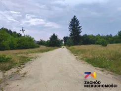 167460227 - zdjęcie nr 5