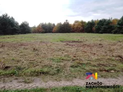 152610227 - zdjęcie nr 2