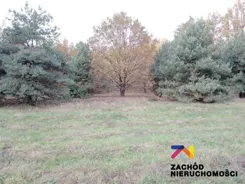 152610227 - zdjęcie nr 5