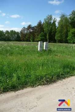 119580227 - zdjęcie nr 2