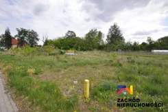 155250227 - zdjęcie nr 3
