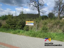 154940227 - zdjęcie nr 3