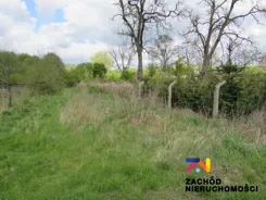 154940227 - zdjęcie nr 4