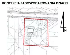 56700227 - zdjęcie nr 3