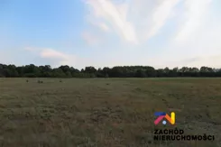 147100227 - zdjęcie nr 2