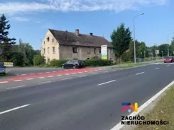 143280227 - zdjęcie nr 1