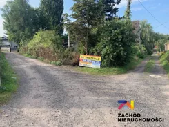 143280227 - zdjęcie nr 5