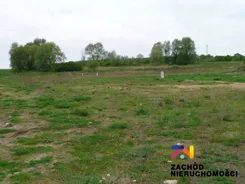 151910227 - zdjęcie nr 3