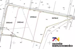146710227 - zdjęcie nr 2
