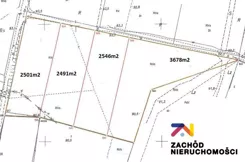 142800227 - zdjęcie nr 2