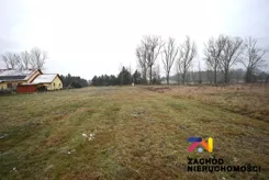 164150227 - zdjęcie nr 1