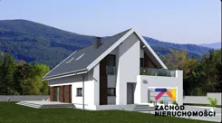 168680227 - zdjęcie nr 3