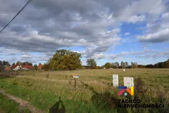 163840227 - zdjęcie nr 1
