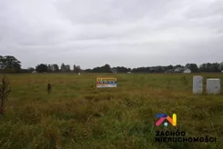 163840227 - zdjęcie nr 4