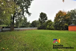 141160227 - zdjęcie nr 3