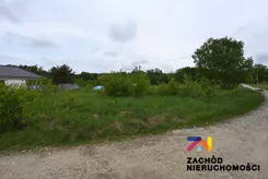 164800227 - zdjęcie nr 3