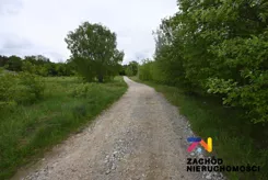 164800227 - zdjęcie nr 4