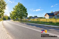 168610227 - zdjęcie nr 3