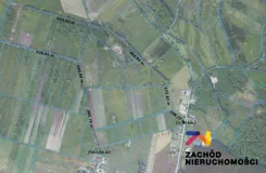 160790227 - zdjęcie nr 1