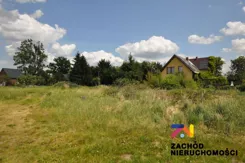 166850227 - zdjęcie nr 2