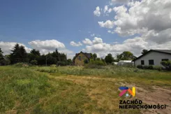 166850227 - zdjęcie nr 3