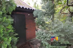 168710227 - zdjęcie nr 0