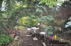 168710227 - zdjęcie nr 1