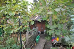 168710227 - zdjęcie nr 3