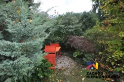 168710227 - zdjęcie nr 4