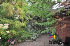 168710227 - zdjęcie nr 5