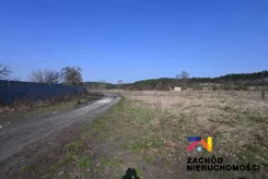 154260227 - zdjęcie nr 2