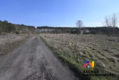 154260227 - zdjęcie nr 3