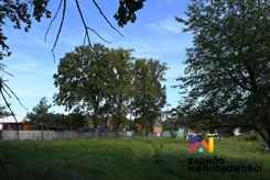 167000227 - zdjęcie nr 3