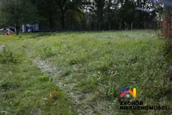 167000227 - zdjęcie nr 4