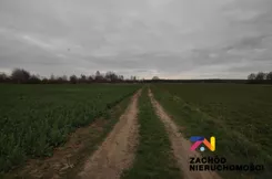 161030227 - zdjęcie nr 5