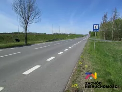 141470227 - zdjęcie nr 5