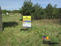 133560227 - zdjęcie nr 1