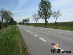 133560227 - zdjęcie nr 4