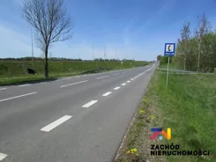 133560227 - zdjęcie nr 5