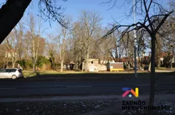 164760227 - zdjęcie nr 2