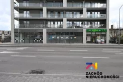 162420227 - zdjęcie nr 1