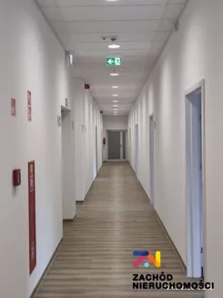165850227 - zdjęcie nr 1