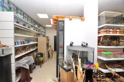 162390227 - zdjęcie nr 3