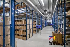 165720227 - zdjęcie nr 4