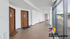 164630227 - zdjęcie nr 3
