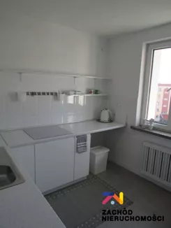 166950227 - zdjęcie nr 2